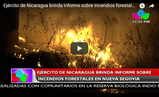 Ejército de Nicaragua brinda informe sobre incendios forestales en Nueva Segovia