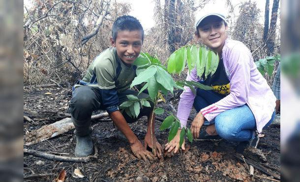 Otra Victoria: se controla incendio y se prepara plan para reforestar la Reserva Indio Maíz