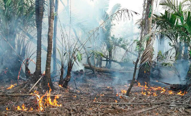 Policía Nacional presenta a responsable de incendio en Reserva Natural Indio Maíz