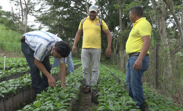 Gobierno Sandinista fortalece capacidades técnicas y financieras a productores en Nueva Segovia