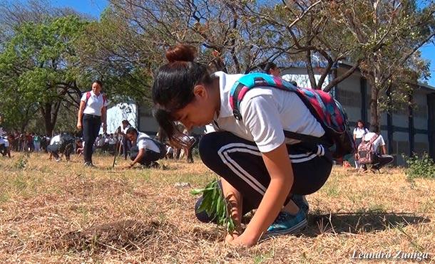 (+Fotos) Abren concurso “Escuelas verdes” para 16 colegios de secundaria de Managua