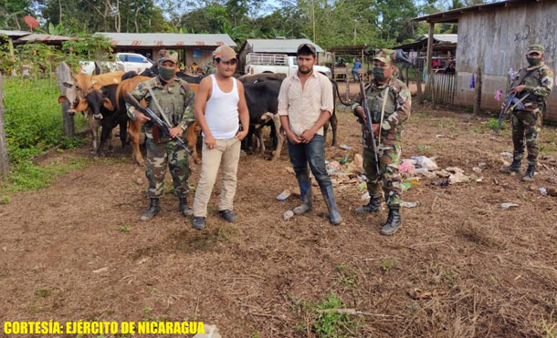 Foto Cortesía: Durante la ocupación de los semovientes se retuvieron a los ciudadanos Lester Uriel Mendoza Bellos y Osni Darío Martínez Méndez.