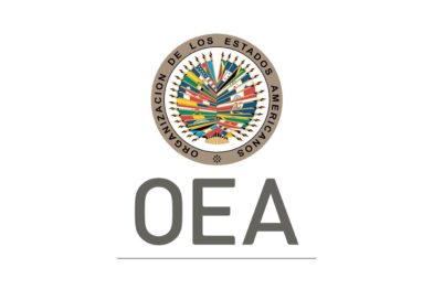 Logo de la Organización de Estados Americanos - OEA