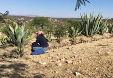 Un pequeño agricultor en México rando tierras semiáridas.