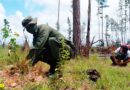 Miembro del Ejército de Nicaragua durante la jornada de reforestación realizada en la Reserva Natural Alamikamba.