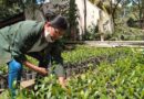 Mujer nicaragüense cultivando la tierra.