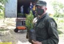 Efectivos del Ejército de Nicaragua descargando plantas frutales