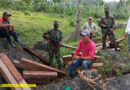 Ejército de Nicaragua incautando madera protegida a contrabandistas