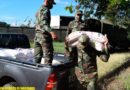 Efectivos del Ejército de Nicaragua descargando merienda escolar en Jinotepe, departamento de Carazo.