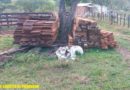 Madera ocupada por el Ejército de Nicaragua en Rancho Grande