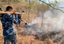 Ejército de Nicaragua participa en sofocación de incendio agropecuario