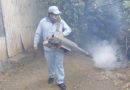 Brigadista del Ministerio de Salud durante la jornada de fumigación en el barrio Hilario Sánchez