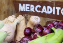 Vegetales y legumbres en el Mercadito Campesino del Parque de Ferias en Managua