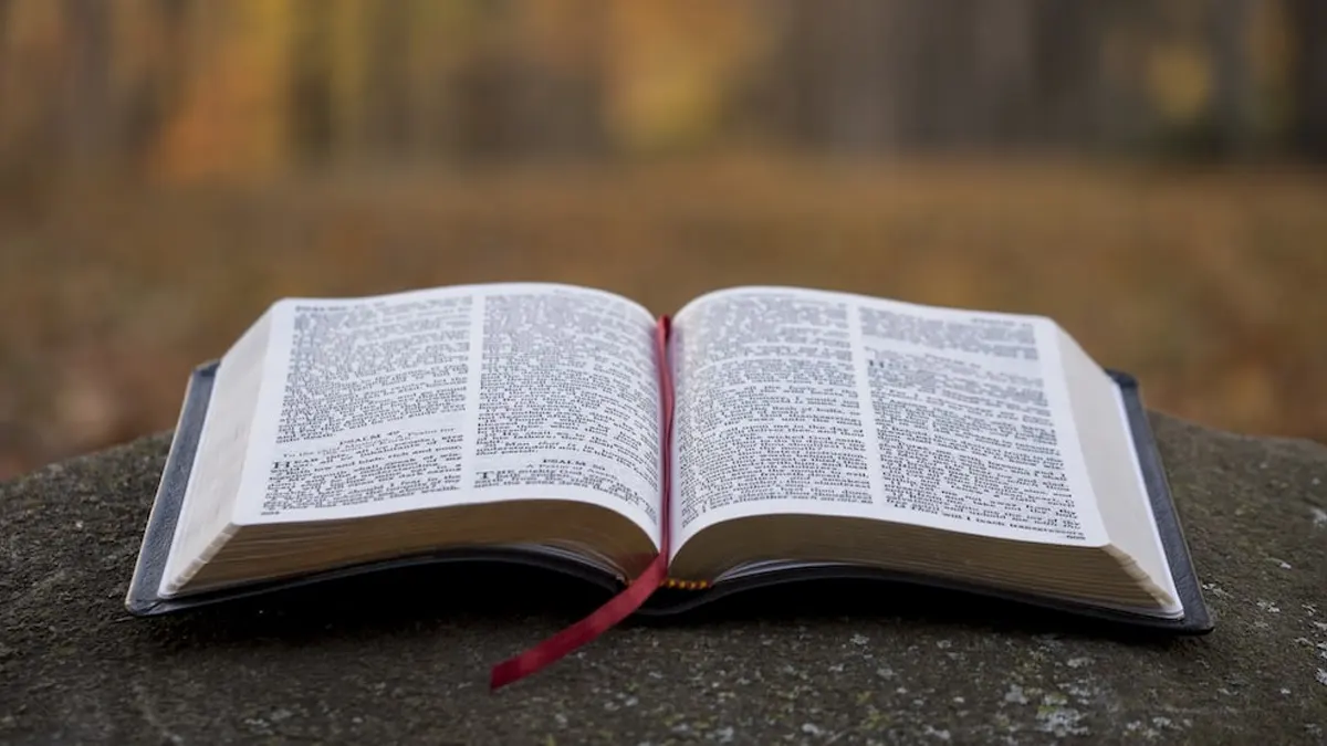 Día Nacional de la Biblia: Todo lo que debes saber de esta fecha – En  contexto