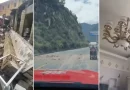 terremoto, china, internacionales, sichuan