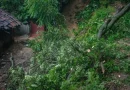 codepred, ocotal, nueva segovia, lluvias, tormenta tropical julia, julia, huracan, alerta roja, nicaragua,