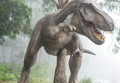 dinosaurio, tiranosaurio, tirex, ciencia, estudios,