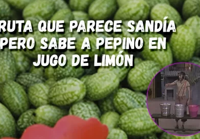 fruta, sandia, pepino, limon,