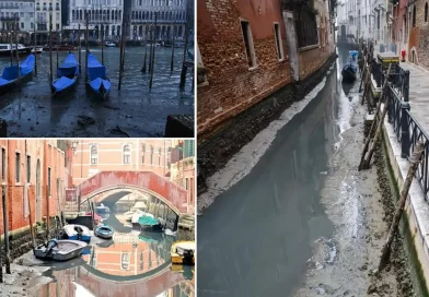 Venecia, canales, famosos, secan, están, secando, Italia, sequía, enfrentar, alarmas, cambio, climático, bajas, emergencia, góngolas, marea, baja, navegación,