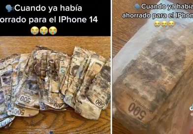 dinero, billetes, escondió, desenterrarlos, arruinados, ahorros, hombre, pareja, sacarlos, comprarle, iPhone, México, TikTok,