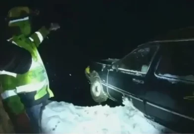 cadaver, funebre, carro, auto, precipicio, caer, vacío, chofer, salva, funeraría, accidente, salva, vida,