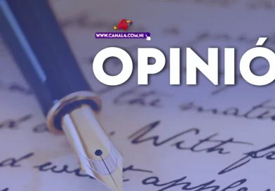 opinion, agricultura, sostenible, nicaragua, aprendizaje, ecología, medioambiente