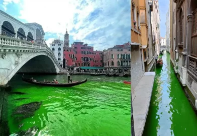 mancha, misteriosa, Venecia, verde, agua, canales, preocupación, canal, famoso, brillante, color, desconcertante, tiñe,