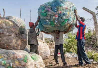 descubren, microbios, digerir, plástico, bajas, temperaturas, biodegradables, medioambiente, disminuir, carga, reducir, ambiental, científicos,