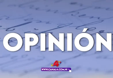 Opinión, nicaragua, democracia, desarrolló,