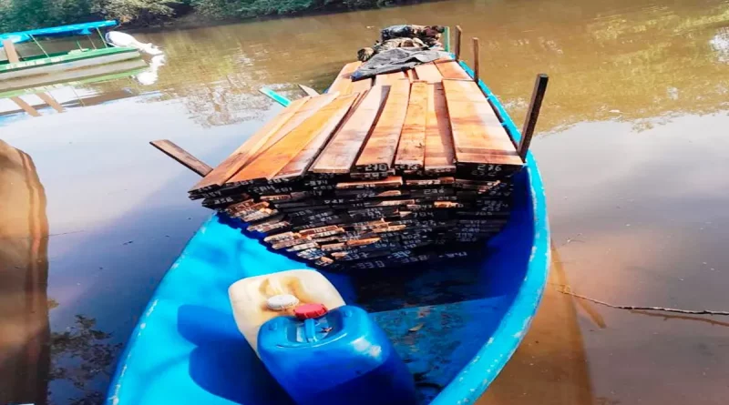 nicaragua, ejército de nicaragua,, madera, traslado de manera, ilegal, el tortuguero, minsa, jornada de donación de sangre, chontales,