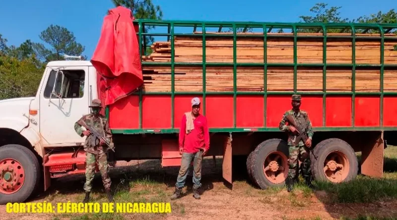 ejercito de nicaragua, puerto cabezas, nicaragua, madera ilegal, ciudadano retenido, madera,