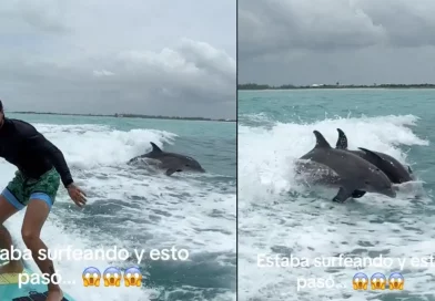 Maluma, encuentro, mágico, único, playa, mar, delfines, saltaron, sorprendido, practicaba, surf, mientras, varios, lado,