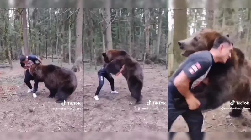 pelea, oso, grizzly, increíble, luchador, UFC, entre, enfrentamiento, Yasubey, Enomoto, video, viral, redes,