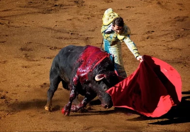 españa, viral, golpes, animal, tauromaquía, toros, maltrato animal