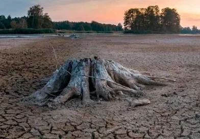 el niño, clima, cambio climático, medioambiente, mundo, océano, organización mundial clima