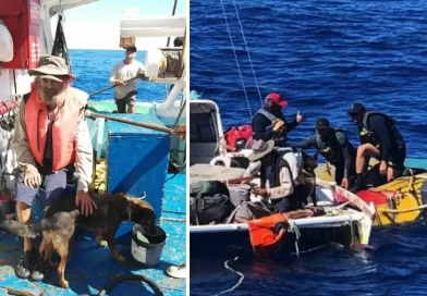 rescate, marinero, australiano, perrita, junto, deriva, sobrevivir, logró, supervivencia, océano, aguas, mar, embarcación, milagroso, mexicanos, atunero,