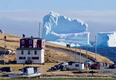 hielo, bloque, Canadá, Terranova, costa, aparece, iceberg, gigantesco, donde, hundió, Titanic, Titan, isla, residentes, océano, atlántico, fragmento, cambio, climático, altas temperaturas,