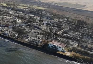 casa, intacta, incendios, Hawái, sobrevive, devastadores, zona, arrasada, vivienda, ilesa, Lahaina,