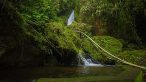 jinotega, nicaragua, turismo, turismo nicaragüense, peñas blanca, macizo, peñas, blanca, turismo, aventura,