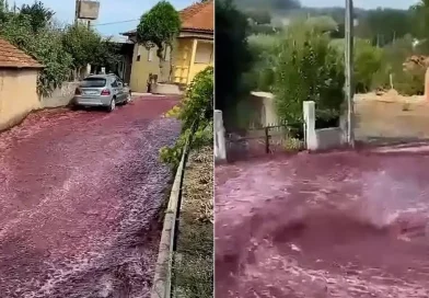 Anadia, Portugal, río, vino tinto, insólito, impresionante, inundó, calles, caudal, evento, inundación, redes, viral,