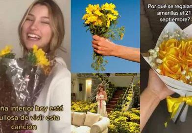 flores, amarillas, regalar, septiembre, viral, tendencia, argentina, tiktok, redes, primavera, inicio, ritual, parejas, afecto,