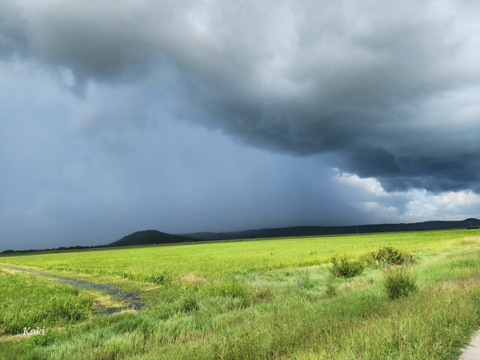 nicaragua, clima, ineter, pronostico del tiempo