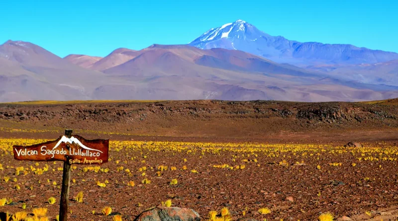 roedores, volcan, altura, momificados