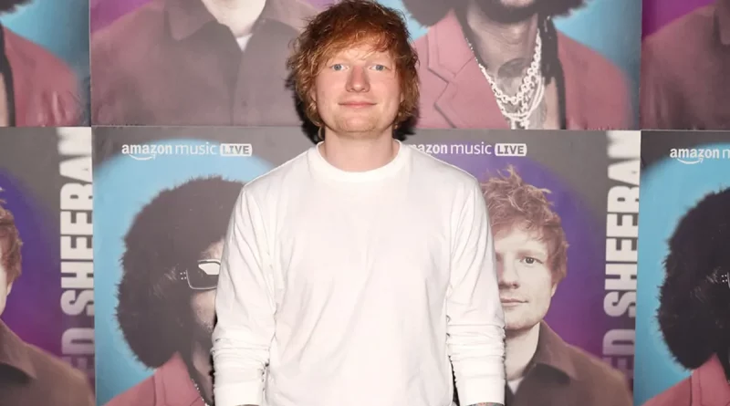 ed sheeran, cantante, famoso, finca, tumba