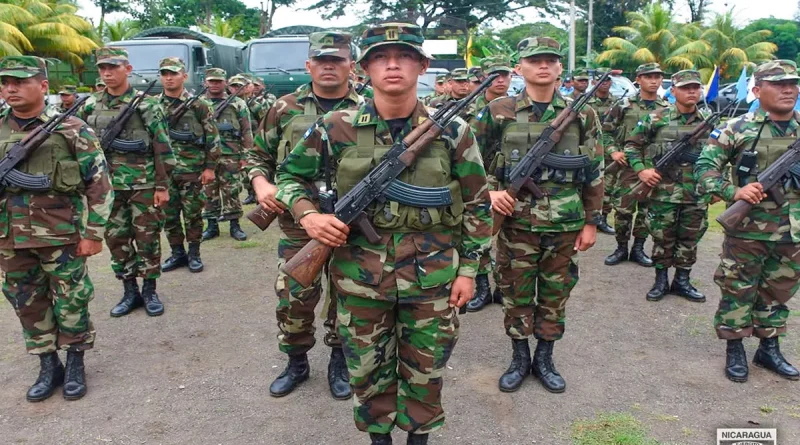 ejército de nicaragua, nicaragua, cosecha cafetalera, cafe,