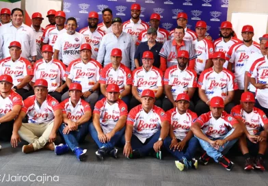 indios, boer, liga de beisbol profesional