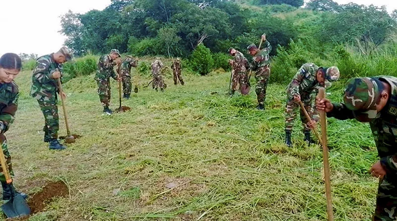 ejercito de nicaragua, jornada, reforestacion ambiental