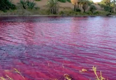 Río Nilo, aguas, teñidas, tiñe, tiñó, rojo, color, sangre, evento naturales, redes, internautas, interpretación, debate, inusual, razón, causa,