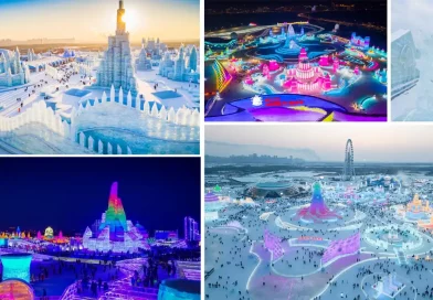 parque de hielo, esculturas, Festival Internaional, esculturas de hielo y nieve, Harbin 2024, atracción, China, estructuras de hielo, atracciones, luces,