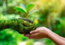 Día Mundial de la Tierra, celebración, llamado de conciencia, cuido del planeta, protección de la tierra, preservación, planeta, tierra,